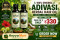 original Adivasi Neelgiri Herbal Hair Oil 100 ml ( Pack of 2)