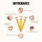 Gold Electric Beauty Stick Strong Vibration RF Facial Massager Slimming Tool Facial Tightening Tool